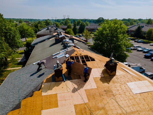 Quick and Trustworthy Emergency Roof Repair Services in Shenandoah, LA
