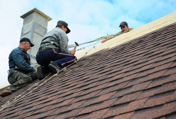 Best Roof Gutter Cleaning  in Shenandoah, LA